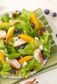 White plate filled with Chicken,Blueberry and Mango Salad