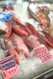 3 different kinds of whole fish on ice at a fish market