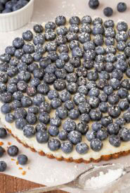 Finished Lemon Tart topped with fresh blueberries and dusted with powder sugar, with a small bowl holding more berries in back and a sifter in front