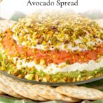 Side view showing layers in Smoked Salmon Cream Cheese Spread, formatted for sharing on social media