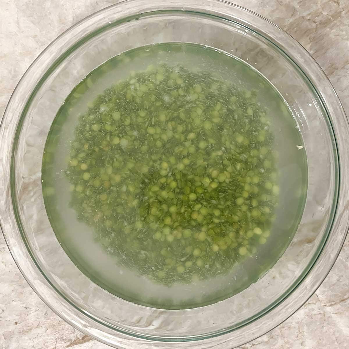 Overhead view of split peas soaking in water